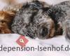 Familienhunde-Pension Isenhof