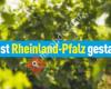 FDP Rheinland-Pfalz