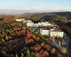 Ferien im Harz - FeWo Neujahr