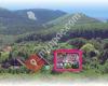 Ferienhaus Gästehaus Bruns im Harz