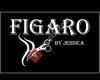 Figaro by Jessica