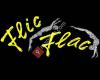 Flic Flac - The Modern Art Of Circus
