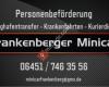 Frankenberger Minicar