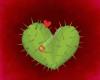 Free Your Wedding - Die freie Trauung mit dem Kaktus