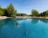 Freibad im Bäderpark Leimen