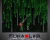 FUKAO LAB: A Laboratory of microRNA Biology