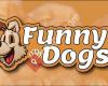 Funny4dogs