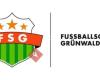 Fussballschule Grünwald