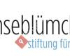 Gänseblümchen Ulm  -  Stiftung für Kinder