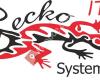 Gecko-IT Systemhaus UG haftungsbeschränkt