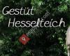 Gestüt Hesselteich