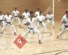 Goju Ryu Karate-Do 'Goju-Kai München e.V.'