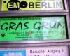 Gras Grün