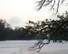 Großer See an der Badenburg