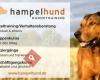 Hampelhund Hundetraining