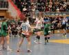 Handball-Verband Brandenburg