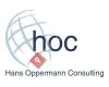 Hoc-consulting