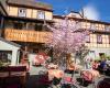 Hotel-Gasthof Goldener Greifen