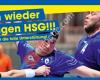 HSG MainHandball Herren