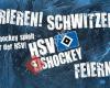 HSV Eishockey - Offizielle Fanpage