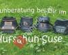Hufschuh-Suse