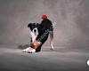 Hundeschule Rhythm4dogs by Birgit