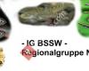 IG BSSW - Regionalgruppe Nordbayern