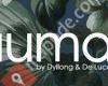 Iuma by Dyllong & De Luca