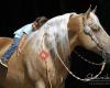 Josef's Walkaway Farm - Tennessee Walking Horses Bader