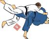 Judo Club Nippon Gladbeck e.V.