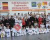 Kampf & SV - Lehrgang 2019- DJK Taekwondo Schwabach UChong Family