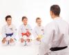 Karateschule Imeri