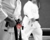 Karateverein Shorin-Ryu e.V. Landstuhl