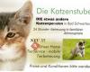 Katzenstube, Katzenpension mit mobilem Haustierservice Bad Schwartau