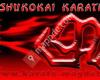 Kimura Shukokai Karate Magdeburg