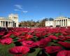 Königsplatz