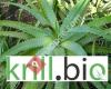 krill.bio Ernährung Gesundheit Bewegung mit Aloe Vera, Smovey und Wasser