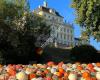 Kürbisausstellung Ludwigsburg