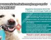 La Mania grooming - strzyżenie psów/ Hundefriseurin