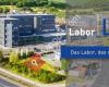 Labor LS SE & Co. KG