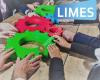 LIMES Solutions GmbH