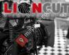 LionCut Filmproduktion