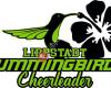 Lippstadt Hummingbirds Cheerleader