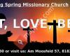 Living Spring Missionary Church e. V.
