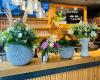 majigs - Bistro & Café