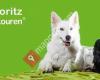 Max & Moritz Hundewandertouren - Hundewandern - Wandern mit Hund