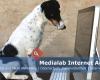 Medialab Internet Agentur