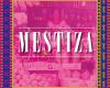 Mestiza Latino Casual Food