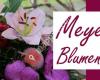 Meyer's Blumenzeit