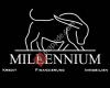 Millennium Finance - Nahro Akgül